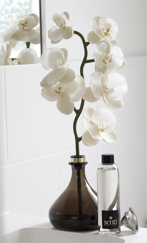 Senti Orchid Room Fragrancer | British Beauty Blogger #homefragrance #reeddifuser #fragrancer #senti #fragrance Orchid Room, Reed Diffuser Packaging, Room Fragrance, Valentines Gift Box, Home Fragrance Accessories, Artificial Orchids, Room Fragrances, Reed Diffusers, Candles Crafts