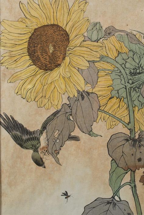 Samurai Champloo Sunflowers, Samurai Champloo Tattoo, Garden Wall Painting, Sakai Hoitsu, Mom Painting, Witches Garden, Botany Illustration, Toxic Plants, Sunflower Illustration