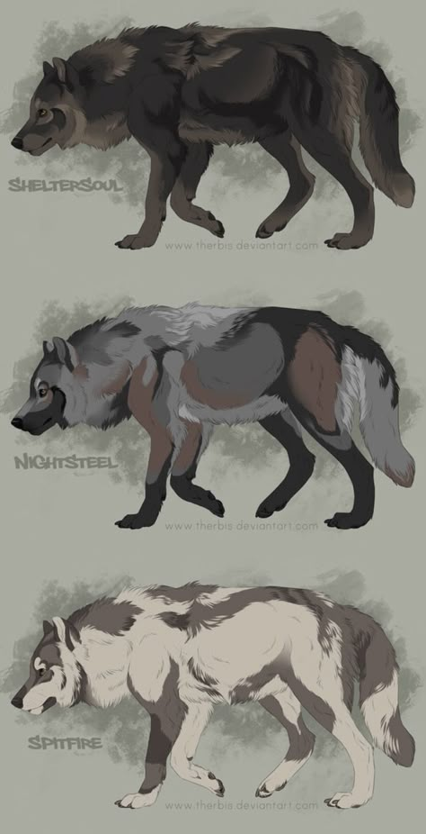 Wolf Designs, Walking Wolf Drawing, Wolf Clothes, Wolf Pack Drawing, Wolf Pup Art, Wolf And Pup Drawing, Wolf Pack Fantasy Art, Wolf Rider, Wolf Sketch