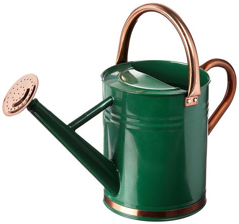 Plant Watering Can, Growing Your Own Food, Metal Watering Can, Food Gardening, Watering Cans, Watering & Irrigation, Garden Indoor, Copper Accents, Pot Designs