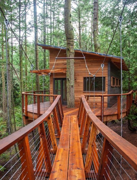 Photo 3 of 11 in How Tree House Master Pete Nelson Built an Empire in the Woods - Dwell Diy Tree House, Tree House Ideas, Treehouse Ideas, Treehouse Masters, Beautiful Tree Houses, Treehouse Cabins, Building A Treehouse, Contemporary Cabin, Tree House Plans