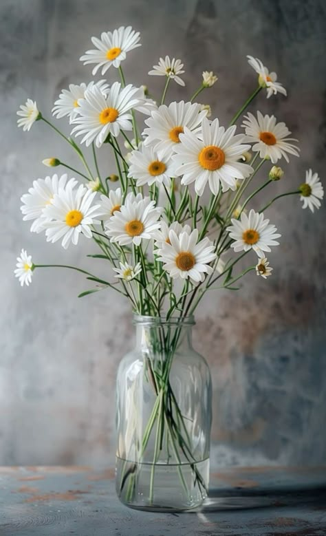 Daisy Bouquet, Bouquet Arrangements, 수채화 그림, 背景 シンプル, Floral Photo, Beautiful Flower Arrangements, Beautiful Flowers Pictures, Jolie Photo, Flower Art Painting