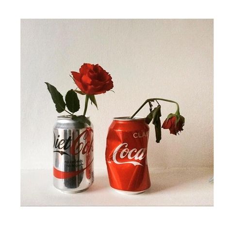 Six Gallery رسم كاريكاتير, Trendy Plants, Coke Cans, Tumblr Photography, Arte Inspo, Still Life Art, Red Aesthetic, Photo Reference, Photography Inspo