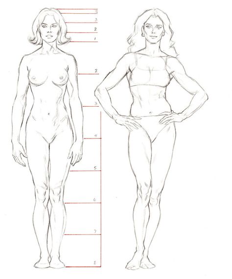 Female Anatomy Reference, Male Figure Drawing, Human Anatomy Drawing, Human Figure Drawing, Human Anatomy Art, Anatomy Sketches, Figure Sketching, Body Anatomy, Female Anatomy