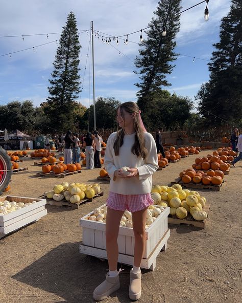 cozy fall sweaters 🫶🏼🍂🍦 Pumpkin patch, pumpkin patch photos, fall sweater outfit, cream sweater, fall aesthetic, Pinterest fall photos, Ugg boots Sweater Fall Aesthetic, Pumpkin Patch Photos, Ig Outfits, Outfit Cream, Cozy Sweaters Autumn, Sweater Pumpkins, Sweater Outfits Fall, Sweater Outfit, Aesthetic Pinterest