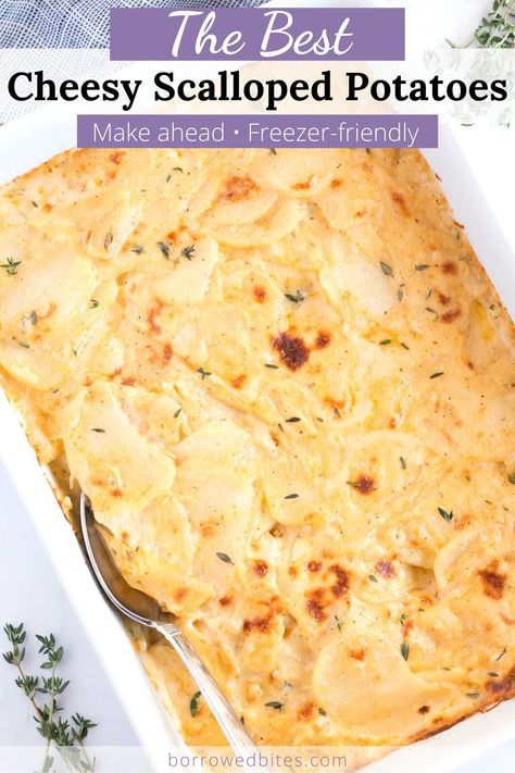 Make Ahead Scalloped Potatoes, Scalloped Potatoes With Cream, Frozen Scallops, Creamy Scalloped Potatoes, Burger Side Dishes, Cheesy Scalloped Potatoes, Scalloped Potatoes Cheesy, Christmas Main, Fresh Salad Recipes