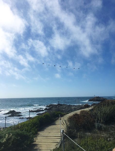 Path through Monterey bay on the Ocean, birds flying, rocks, clear sky California State University Monterey Bay, Monterey California Aesthetic, Monterey Aesthetic, Monterrey California, Seaside California, Mid 30s, Monterey Bay California, Cali Summer, Beach Path