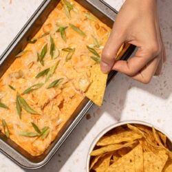 Vegan Buffalo Chicken Dip, Vegan Buffalo Chicken, Baked Buffalo Chicken Dip, Vegan Spinach Dip, Hot Corn Dip, Relish Sauce, Baked Buffalo Chicken, Frozen Appetizers, Stuffed Pepper Dip