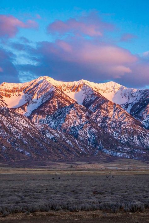 Did you know that Mount Nebo is the highest peak in the Wasatch Front range, soaring to 11,929 feet? It's located just south of Provo, Utah. For adventurers, there are trails on both sides of the mountain, offering stunning views and challenging hikes. Ready to conquer Mount Nebo? Check our website to learn more- www.utahguide.com/utah-mountains #MountNebo #Utah #Hiking Utah Forest, Wasatch Mountains Utah, Utah Aesthetic, Mount Nebo, Utah Hiking, Utah Mountains, Provo Utah, Phone Aesthetic, Personal Aesthetic