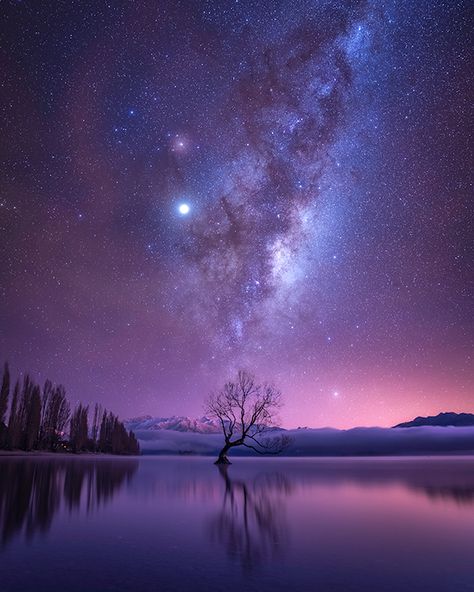 The Night Sky, Night Sky, The Sky, Trees, Stars, Instagram