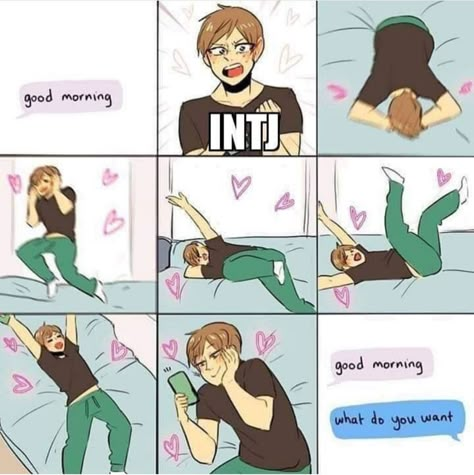 Intj Things, Entp And Intj, Infj And Entp, Intj Humor, Entp Personality Type, Intj Enfp, Intj Women, Crush Texts, Intj Infj