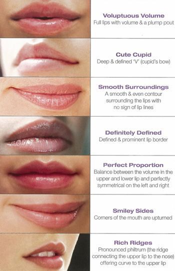 How do lip augmentation works? Learn more about who are the good candidates for lip augmentation. Call us to set an appointment with Dr. Thomas Taylor. Types Of Lips Shape, Lip Types, Lip Augmentation, Facial Aesthetics, Lip Enhancement, Botox Fillers, Lip Shapes, Lip Injections, Perfect Lips