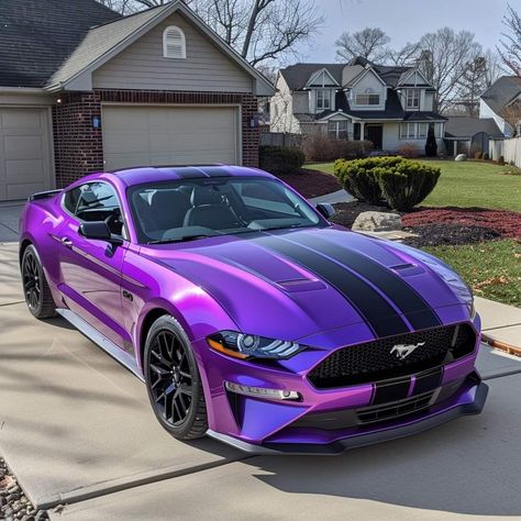 Purple Vehicles, Purple Cars, Purple Mustang, Car Paint Jobs, Purple Car, S550 Mustang, Fast Sports Cars, Cars Luxury, Mustang Cars