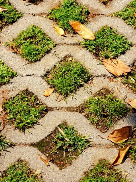 Permeable Driveway Info: Learn About Making A Grass Driveway Grass Crete Driveway, Water Permeable Driveway, Driveway With Grass In Between, Eco Driveway, Grass Pavers Driveway, Green Driveway, Permeable Pavers Driveways, Driveway Ideas Cheap, Front Garden Driveway