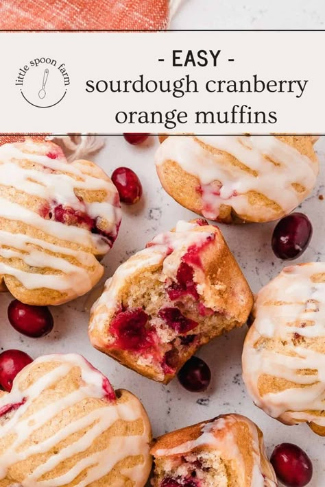 Sourdough Cranberry Orange Muffins Easy Sourdough Discard Muffins, Holiday Sourdough, Sourdough Sweet Bread, Little Spoon Farm, Easy Sourdough Discard Recipes, Cranberry Orange Muffin Recipe, Sourdough Cookies, Sourdough Scones, Orange Muffin Recipe