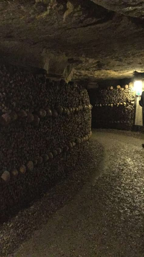 Paris Catacombs Aesthetic, Catacombs Aesthetic, Master Of Salt And Bones, Victor Aesthetic, Cincinnati Subway, Vampire The Masquerade Art, Gothic Horror Aesthetic, Chain Of Thorns, Underground Lair