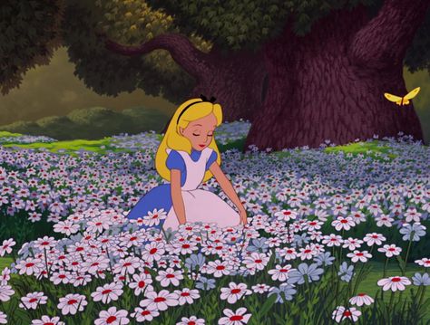 Alice In Wonderland Animated, Alice In Wonderland Cartoon, Old Disney Movies, Disney Movie Scenes, Alice In Wonderland 1951, Alice In Wonderland Aesthetic, Disney Version, Arte Sailor Moon, Disney Characters Videos