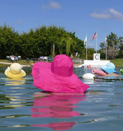 North Port Florida, Wade In The Water, Mossy Tree, Glass Bottom Boat, Shark Fishing, Fish House, Fountain Of Youth, Visit Florida, Spa Services