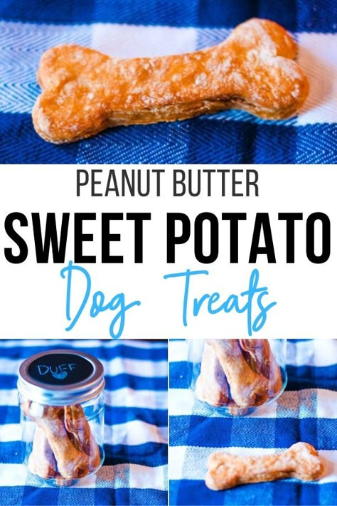 Dried Sweet Potato Dog Treats, Sweet Potato Peanut Butter Dog Treats, Yam Dog Treats, Sweet Potato Treats For Dogs Homemade, Sweet Potato Dog Treats Homemade Oven, Dog Treats With Sweet Potato, Sweet Potato Recipes For Dogs, Sweet Potato Dog Treats Homemade Easy, Sweet Potato Dog Treats Homemade