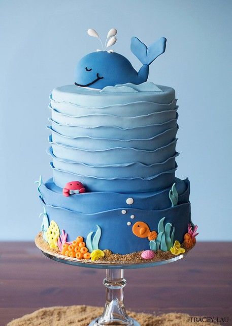 Jeremiah's Whale of a time Cake | Tracey | Flickr Baby Shower Cake For Girls, Whale Birthday Cake, Ocean Birthday Cakes, Whale Birthday Parties, Whale Cake, Whale Cakes, Shark Birthday Cakes, Boys 1st Birthday Cake, Baby Boy Birthday Cake