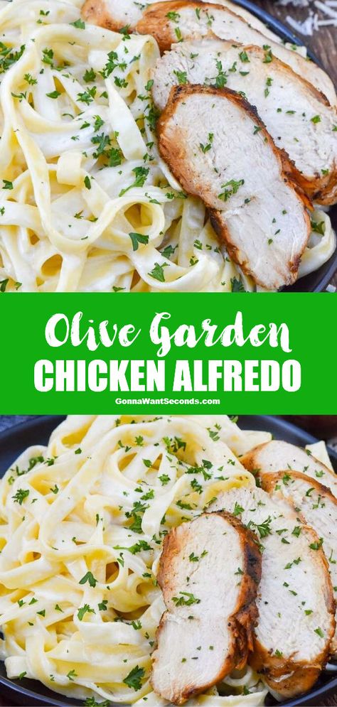 Fettucini Alfredo Chicken, Olive Garden Chicken Alfredo Recipe, Chicken Fettucini, Olive Garden Chicken Alfredo, Fettucini Alfredo Recipe, Fetuccini Alfredo, Creamy Chicken Alfredo, Chicken Alfredo Recipe, Alfredo Recipes