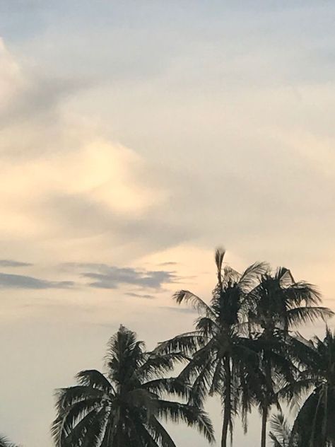 Aesthetic Pictures For Ig Feed, Palm Aesthetic, The Scene Aesthetic, Caribbean Girl, Simpul Dasi, Songs Spotify, Instagram Feed Planner, Blue Sky Clouds, Tone Control