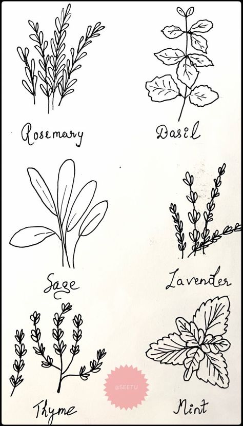 Herbs Embroidery Patterns, Garden Doodles Easy, Herb Drawings Simple, Herb Doodles, Greenery Doodles, Herb Drawings, Garden Doodles, Witchy Doodles, Christmas Tree Tattoo