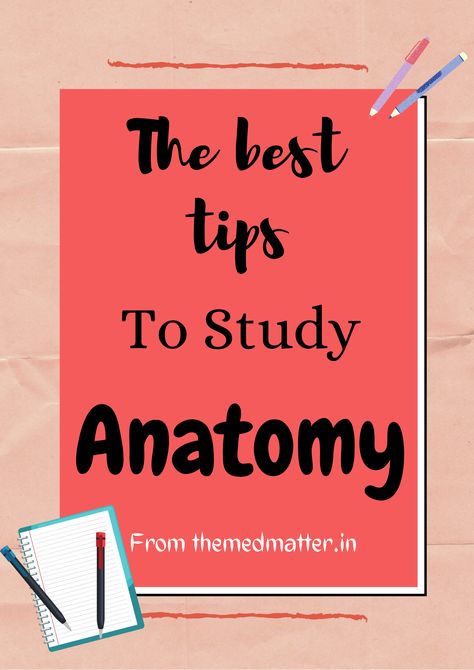 Study For Anatomy And Physiology, Best Way To Study Anatomy, How To Study Anatomy And Physiology, How To Study Medicine, Mbbs Student Tips, How To Learn Anatomy, Anatomy And Physiology Study Tips, Anatomy And Physiology Notes Study, Biology Knowledge