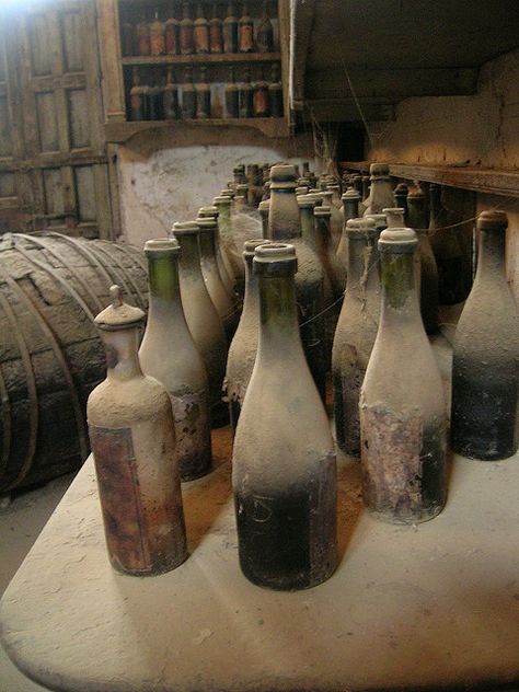 Wine Shots, Antique Wine Bottles, Vine Bottle, Old Wine Bottle, Ancient Wine, Poison Bottle, Old Wine Bottles, The Old Curiosity Shop, Old Glass Bottles