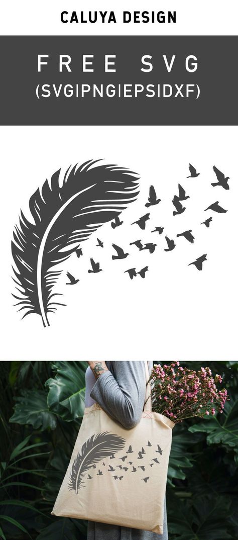 Feather Svg Free Cricut, Bird Svg Free Cricut, Nature Svg Free, Cricut Machine Decals Decoration, Feather Svg Free, Cricut Images Free Svg, Bird Svg Free, Silhouette Images Free, Svg Images Free