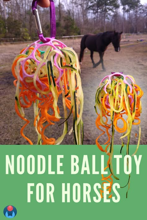 Image pin shows DIY noodle ball treat toy for horses hanging from fingers. Toy is made of webby, hollow o ball baby toy and full of carrot noodles and cucumber noodles. Inset image shows toy in foreground and horse approaching in background. Overlay text reads: noodle ball toy for horses with Enriching Equines logo in lower left corner. Easy Horse Stalls, Horse Enrichment, Diy Horse Toys, Easy Cute Diy, Toys For Horses, Homemade Horse Treats, Horse Farm Ideas, Animal Enrichment, Horse Food