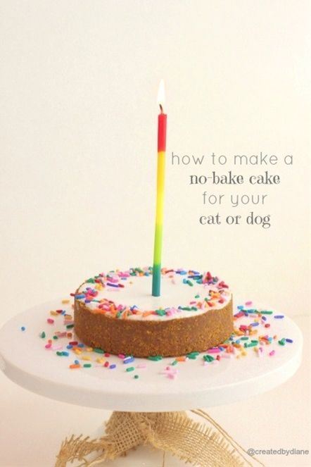 No bake cake for Cats and Dogs @createdbydiane - Click image to find more animals Pinterest pins Dog Cake Recipes, Birthday Cake For Cat, Cakes To Make, Mini Cake Pans, Dog Birthday Cake, Dog Cakes, Dog Cake, Cat Cake, Dog Treat Recipes