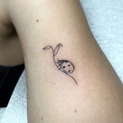 Teeny ladybug ˚₊‧ʚ🐞ɞ‧₊˚ Based at @outpost_tattoo 🌙 taking January bookings 💌 #tinytattoo #finelinetattoo #southamptontattoo #femaletattooartist Ladybug Tattoo Ideas Black And White, Small Lady Bug Tattoos, My Tattoo Vibe, Frog And Ladybug Tattoo, Geometric Ladybug Tattoo, Small Cute Wrist Tattoos, Ladybug Tattoo Meaning, Tattoo Ideas Ladybug, Ladybug Finger Tattoo