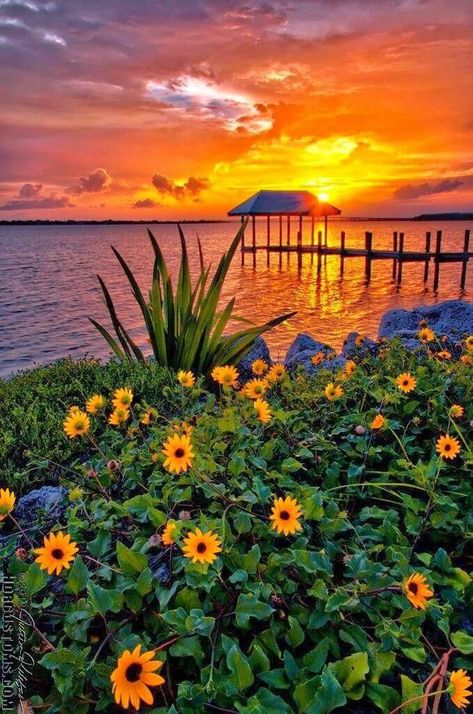 Waqar Ali Khan on Twitter: "Peaceful Evening for all !! 🧡💐🍹… " Sunrises And Sunsets, Sunsets And Sunrises, Sunrise And Sunset, Amazing Sunsets, Beautiful Sunrise, Beautiful Sky, Sunset Sunrise, Pretty Places, Nature's Beauty