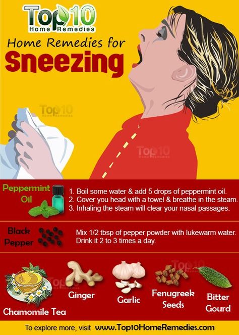 Dust Allergy Remedies, Sneezing Remedies, Illness Remedies, Remedies For Allergies, Stop Sneezing, Home Remedies For Allergies, Sinus Allergies, Stuffy Nose Remedy, Asthma Remedies