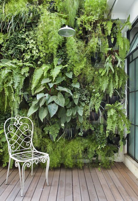 Diy Garden Landscaping, Kolam Koi, Garden Wall Designs, Vertical Garden Design, Vertical Garden Wall, Vertical Garden Diy, Plants Growing, Walled Garden, Big Garden