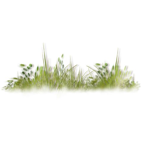 Grass Photoshop, Landscape Architecture Graphics, Texture Photoshop, Tree Photoshop, Grass Plants, Photoshop Rendering, Tree Textures, Photoshop Resources, Architecture Graphics