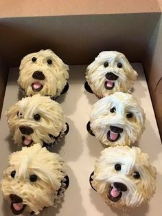 Dog Decorated Cake, Critter Cupcakes, Pup Cakes, Puppy Cupcakes, Edible Eyes, Creative Dessert Recipes, Dog Cupcakes, Birthday 2023, Puppy Cake