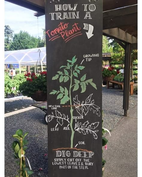 Plants For Sale Sign, Community Garden Ideas Inspiration, Garden Center Signage, Market Signage Ideas, Plant Sale Display, Plant Sale Sign, Plant Nursery Design, Greenhouse Signs, Mobile Plant Shop