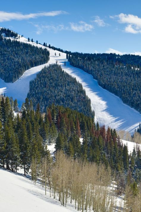 Top 10 Ski Resorts In Vail, Colorado Photography Mountains, Winter Skiing, Powder Skiing, Vail Colorado, Ski Resorts, White River, Steamboat Springs, Mountain Life, Steam Boats