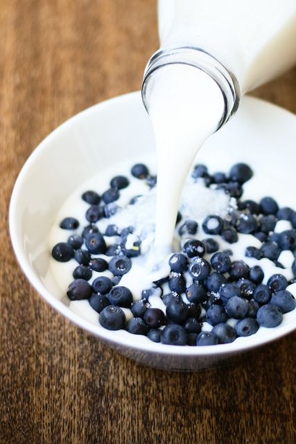 Blueberries in milk...  and strawberries - my snack tonight. Excellent. Cooking Photos, Fresh Fruit Recipes, Blueberry Recipes, Fruit Recipes, Summer Desserts, Blueberries, Food Styling, A Bowl, Fresh Fruit