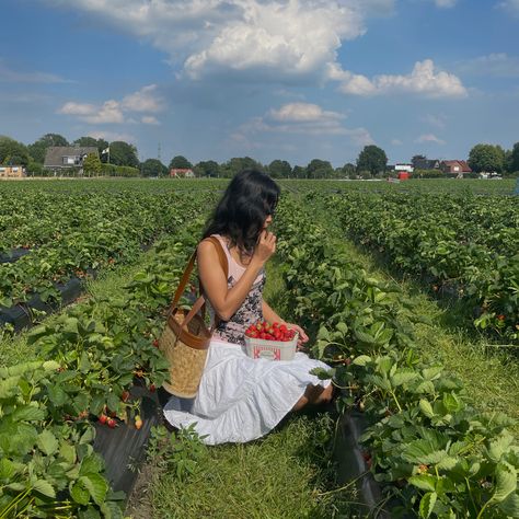 Strawberry Picking Pictures, Strawberry Picking Outfit, Strawberry Cottagecore, Strawberry Summer, Strawberry Picking, Sufjan Stevens, Summer Plans, Cottagecore Aesthetic, Spring Aesthetic