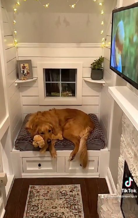 Dog House Accessories, Dogs Apartment Living, Dogs House Indoor, Cute Dog Houses Indoor, Understairs Dog House, Doghouse Indoor, Dog Bed Room, Dog Houses Indoor, Dog Space Ideas