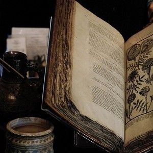 An Open Book, Yennefer Of Vengerberg, Slytherin Aesthetic, The Elder Scrolls, Witch Aesthetic, Dark Academia Aesthetic, + Core + Aesthetic, Arte Fantasy, Open Book