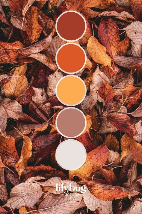 Amber Color Palette, Autumn Pallet, Friendly Graphic Design, Rust Palette, Autumn Colour Palette, Colour Wall, Brown Autumn, Autumn Color Palette, Autumn Palette