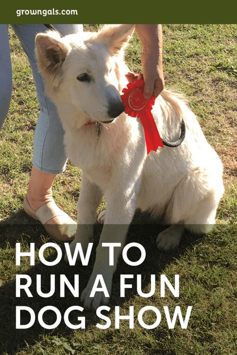 How to run a FUN dog show - GrownGals Dog Carnival Ideas, Dog Show Ideas, Dog Events, Dog Festival Ideas, Pet Store Event Ideas, Dog Event, Best In Show Dog, Dog Festival, Dog Event Ideas