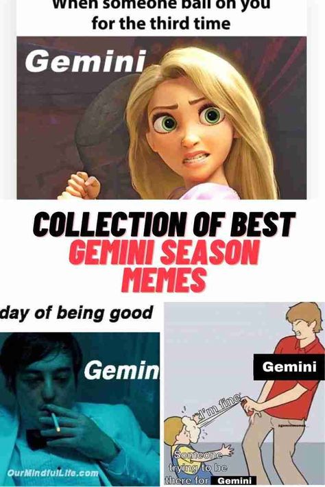 Gemini Memes #Zodiac #Gemini #memes #GeminiSeason #funny Gemini Memes Hilarious, Gemini Funny Humor, Virgo X Gemini, Gemini Season Quotes, Gemini Quotes Funny, Gemini Funny, Virgo And Gemini, Zodiac Funny Memes, Virgo Relationships