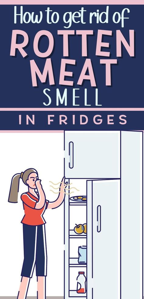 Pin text reads "how to get rid of rotten meat smell in fridges." Background graphic image is of a woman looking into her stinky fridge and holding her nose to protect against the rotten smell from fridge before using these house cleaning hacks to disinfect and deodorize bad smell from fridge Smelly Refrigerator, Rotten Meat, Smelly Fridge, Fridge Smells, Rotten Food, Easy House Cleaning, Camping Fridge, Fridge Odor, Old Refrigerator