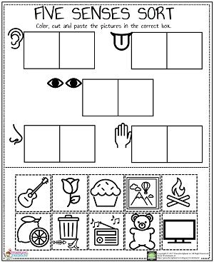 5 Senses Craft, 5 Senses Preschool, 5 Senses Worksheet, Five Senses Worksheet, Five Senses Preschool, 5 Senses Activities, Senses Preschool, My Five Senses, Body Parts Preschool