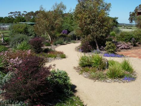 LARGE DROUGHT TOLERANT NATIVE GARDEN California Cottage Garden, California Garden Design, Front Yard Wall, California Native Landscape, California Landscaping, Native Plant Landscape, California Native Garden, Yard Wall, California Wildflowers